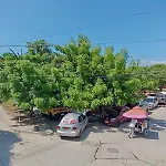 Hostal Viva Mar